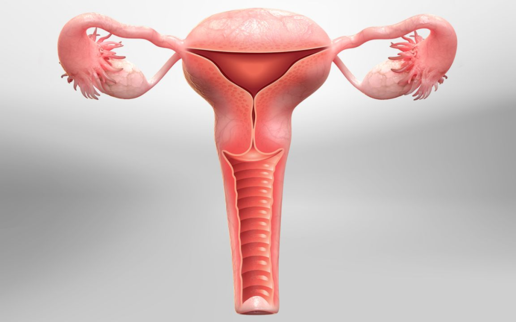 Total Laparoscopic Hysterectomy in Jayanagar