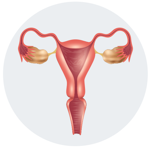 IVF Treatment in Gottigere