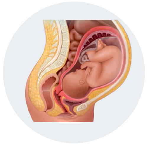 IVF Treatment in Gottigere